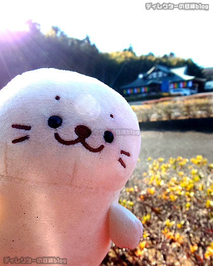 しろたん