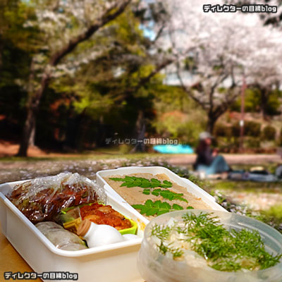 手作りの弁当でお花見
