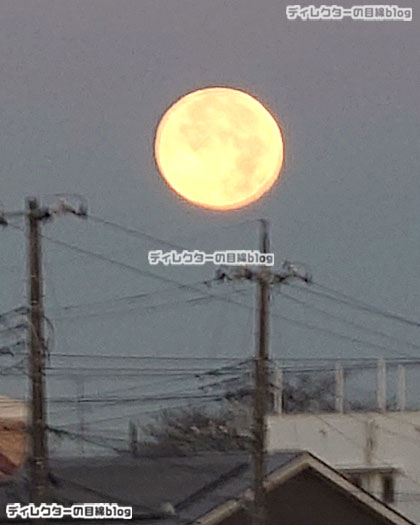 コールドムーン