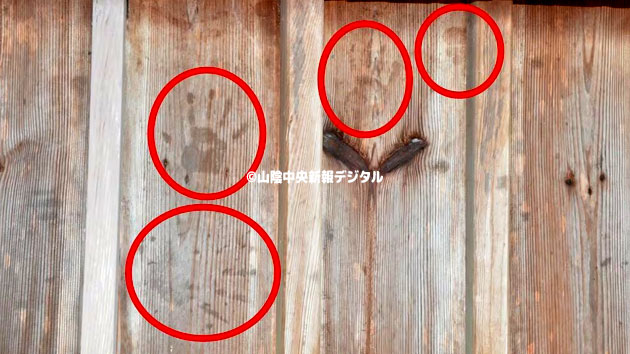 赤丸の部分が地元で有名な染み。右端の丸が足の指、他の丸が手のように見える