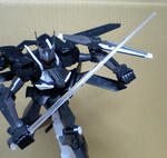 1/100-06 SVMS-010 09