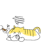 虎被りがダウン中