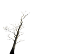 test_A.png