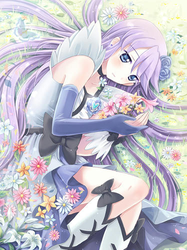 precure4.jpg