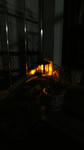 DSC01868.JPG