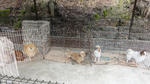 DSC03674.JPG