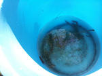20120718_155947.jpg