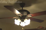 dh_solerno-fan00.jpg