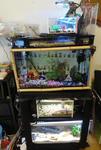DSC00039.JPG