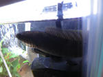 DSC00050.JPG