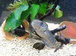 DSC00052.JPG