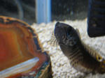DSC00055.JPG