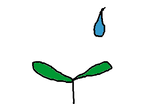 fimg_1212409328.png
