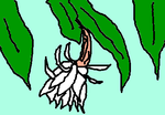 fimg_1220279055.png