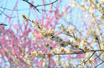 DSC_0890_blog.JPG