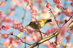 DSC_0816_blog.JPG