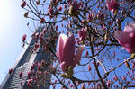 R0016902_blog.JPG