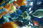 R0016949_blog.JPG
