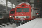 DSC_6531_blog.JPG