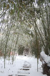 DSC_6589_blog.JPG