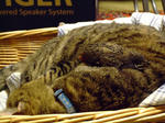 DSCF0053.jpg