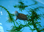 DSCF0579.jpg