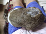 DSCF0759.jpg
