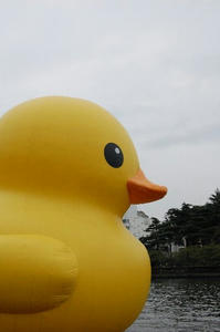 今日は肌寒いなぁ