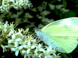 CA3A0829.jpg