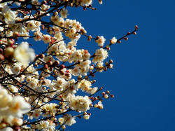 kinjo090201_002.jpg