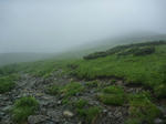 07371fe5.jpg