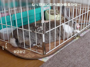 6a90817d.jpeg