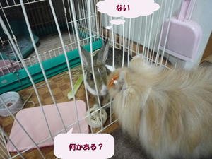 456e6ed6.jpeg