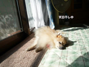babe3ec9.jpeg