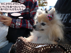 a4a74e16.jpg