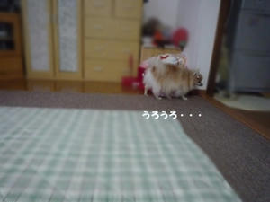 48141fe1.jpeg