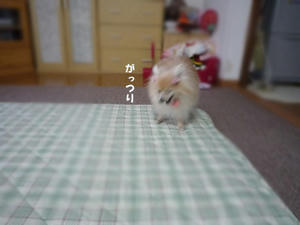 0ab6bb04.jpeg