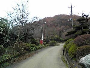 12090008.jpg