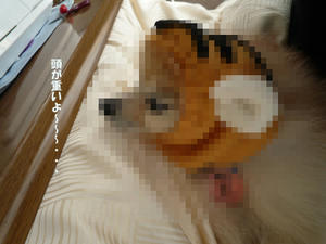79ba25e5.jpeg