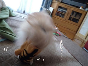 0822b211.jpeg