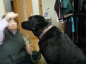 b73010f0.jpeg
