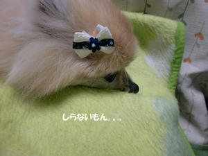 9a91c829.jpg