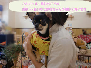 60448a92.jpeg