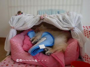 411a7828.jpeg