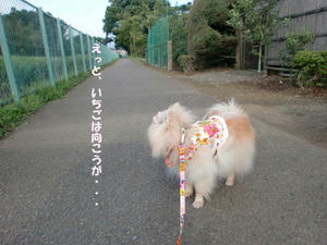 20a1d1a5.jpg