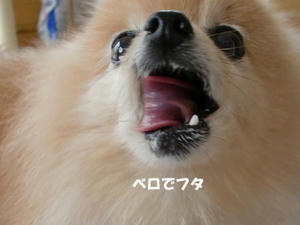 6fd5ff23.jpeg