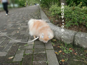 75d1b638.jpeg