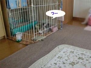 7402a85a.jpeg