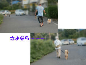 fc4d9fa5.jpeg