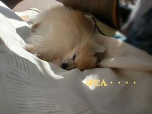 2fd06228.jpg